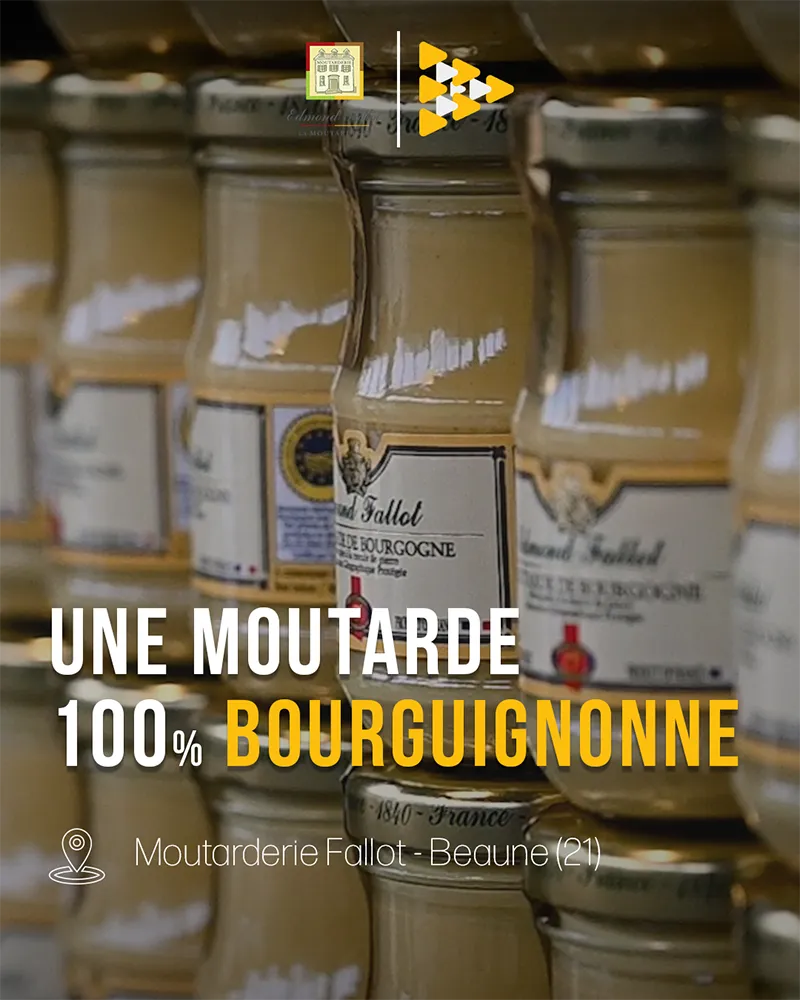 Anecdata - Moutarderie Fallot