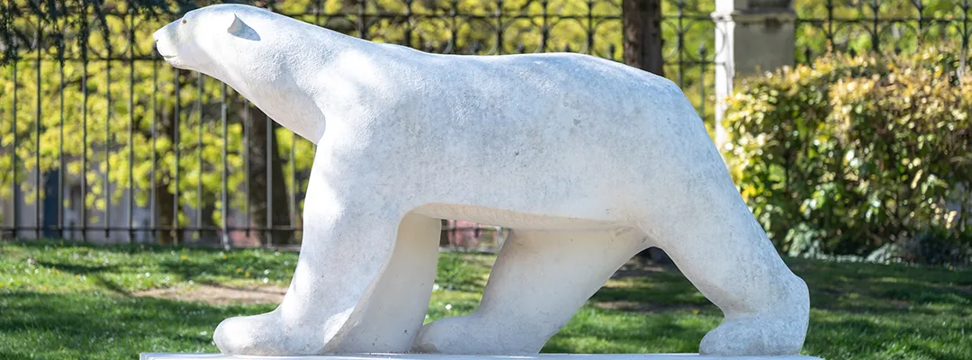 Collections & Photos sous licence