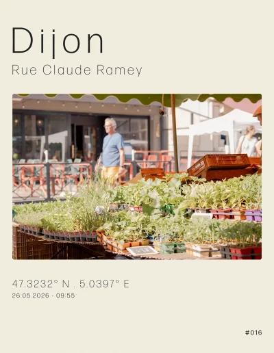 Un stand de plantes aromatiques, autour des Halles, rue Claude Ramey, un jour de marché.