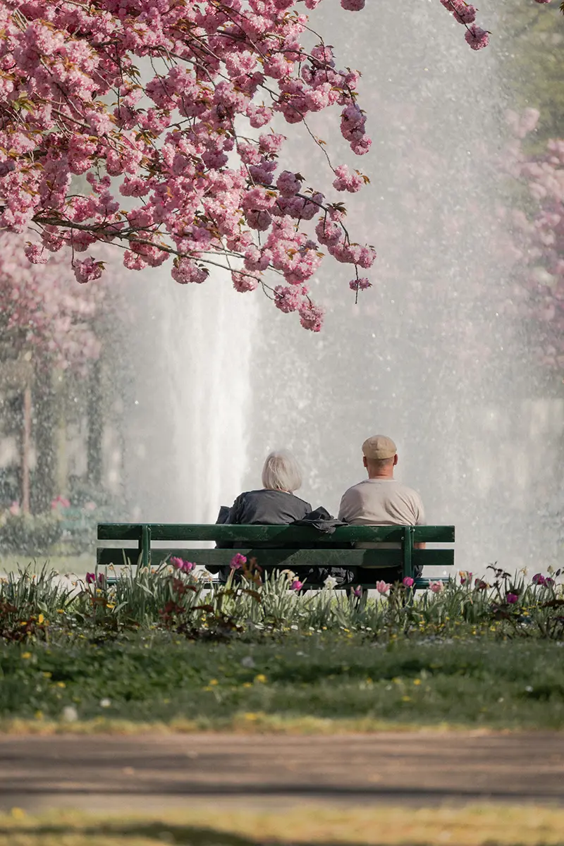 Place Wilson - Dijon Vue d'un couple assis sur un banc de la place Wilson, au printemps.