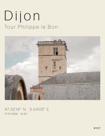 Vue de la Tour Philippe le Bon depuis les toits de la cour de Flore